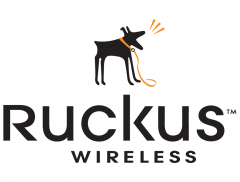 Ruckus 909-0550-ZD50: ZoneDirector 5000 License Upgrade supporting an additional 550 ZoneFlex Access Points for ZoneDirector 5000
